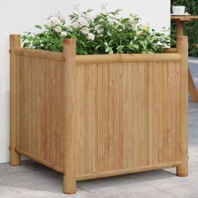 Planter 19.7"x19.7"x19.7" Bamboo Planter 19.7"x19.7"x19.7" Bamboo